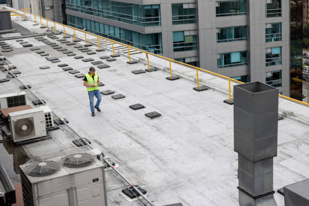 Best Roof Leak Repair  in Cameron, TX
