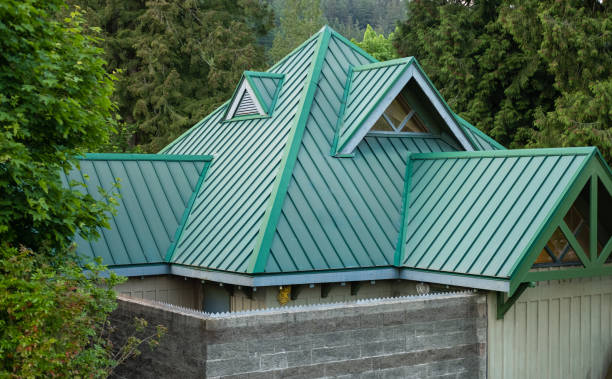 Best Roof Maintenance and Cleaning  in Cameron, TX